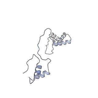 11397_6zsg_AS_v1-0
Human mitochondrial ribosome in complex with mRNA, A-site tRNA, P-site tRNA and E-site tRNA