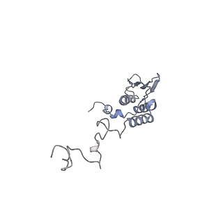 11397_6zsg_AT_v1-0
Human mitochondrial ribosome in complex with mRNA, A-site tRNA, P-site tRNA and E-site tRNA