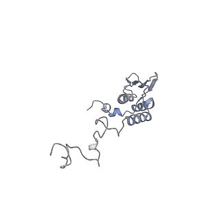 11397_6zsg_AT_v2-0
Human mitochondrial ribosome in complex with mRNA, A-site tRNA, P-site tRNA and E-site tRNA
