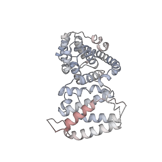 11397_6zsg_AV_v1-0
Human mitochondrial ribosome in complex with mRNA, A-site tRNA, P-site tRNA and E-site tRNA