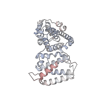 11397_6zsg_AV_v2-0
Human mitochondrial ribosome in complex with mRNA, A-site tRNA, P-site tRNA and E-site tRNA