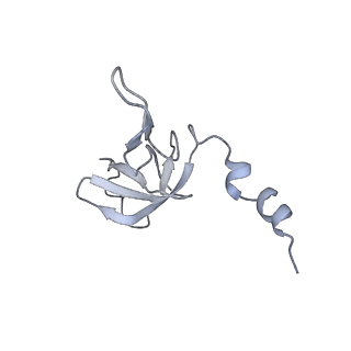 11397_6zsg_AW_v1-0
Human mitochondrial ribosome in complex with mRNA, A-site tRNA, P-site tRNA and E-site tRNA