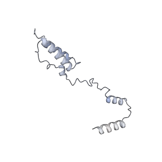 11397_6zsg_AY_v1-0
Human mitochondrial ribosome in complex with mRNA, A-site tRNA, P-site tRNA and E-site tRNA