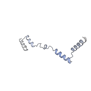 11397_6zsg_AZ_v1-0
Human mitochondrial ribosome in complex with mRNA, A-site tRNA, P-site tRNA and E-site tRNA