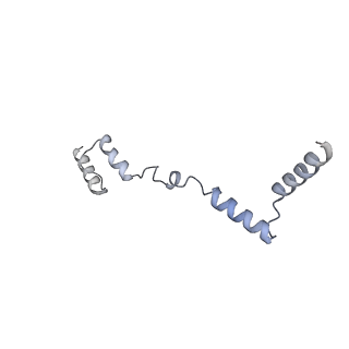 11397_6zsg_AZ_v2-0
Human mitochondrial ribosome in complex with mRNA, A-site tRNA, P-site tRNA and E-site tRNA