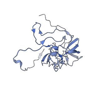 11397_6zsg_XD_v1-0
Human mitochondrial ribosome in complex with mRNA, A-site tRNA, P-site tRNA and E-site tRNA