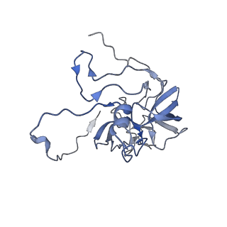 11397_6zsg_XD_v2-0
Human mitochondrial ribosome in complex with mRNA, A-site tRNA, P-site tRNA and E-site tRNA
