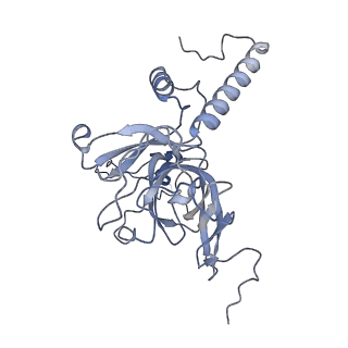 11397_6zsg_XE_v1-0
Human mitochondrial ribosome in complex with mRNA, A-site tRNA, P-site tRNA and E-site tRNA