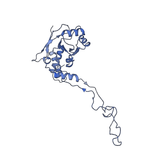 11397_6zsg_XF_v1-0
Human mitochondrial ribosome in complex with mRNA, A-site tRNA, P-site tRNA and E-site tRNA