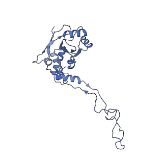 11397_6zsg_XF_v4-0
Human mitochondrial ribosome in complex with mRNA, A-site tRNA, P-site tRNA and E-site tRNA