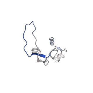 11397_6zsg_XH_v1-0
Human mitochondrial ribosome in complex with mRNA, A-site tRNA, P-site tRNA and E-site tRNA
