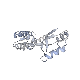 11397_6zsg_XJ_v1-0
Human mitochondrial ribosome in complex with mRNA, A-site tRNA, P-site tRNA and E-site tRNA