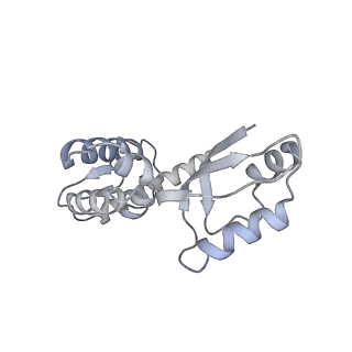 11397_6zsg_XJ_v2-0
Human mitochondrial ribosome in complex with mRNA, A-site tRNA, P-site tRNA and E-site tRNA