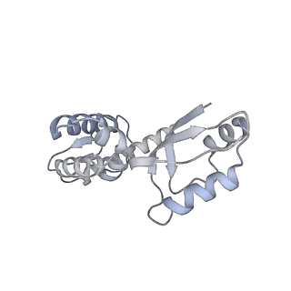 11397_6zsg_XJ_v4-0
Human mitochondrial ribosome in complex with mRNA, A-site tRNA, P-site tRNA and E-site tRNA