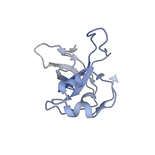 11397_6zsg_XL_v1-0
Human mitochondrial ribosome in complex with mRNA, A-site tRNA, P-site tRNA and E-site tRNA