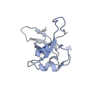 11397_6zsg_XL_v4-0
Human mitochondrial ribosome in complex with mRNA, A-site tRNA, P-site tRNA and E-site tRNA