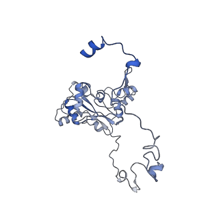 11397_6zsg_XM_v1-0
Human mitochondrial ribosome in complex with mRNA, A-site tRNA, P-site tRNA and E-site tRNA