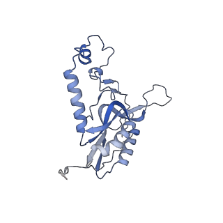 11397_6zsg_XN_v1-0
Human mitochondrial ribosome in complex with mRNA, A-site tRNA, P-site tRNA and E-site tRNA