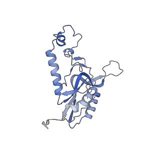 11397_6zsg_XN_v4-0
Human mitochondrial ribosome in complex with mRNA, A-site tRNA, P-site tRNA and E-site tRNA