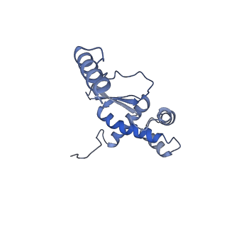 11397_6zsg_XO_v1-0
Human mitochondrial ribosome in complex with mRNA, A-site tRNA, P-site tRNA and E-site tRNA