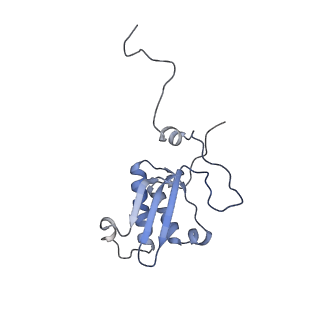 11397_6zsg_XP_v1-0
Human mitochondrial ribosome in complex with mRNA, A-site tRNA, P-site tRNA and E-site tRNA
