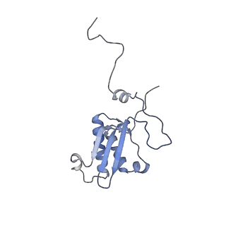 11397_6zsg_XP_v2-0
Human mitochondrial ribosome in complex with mRNA, A-site tRNA, P-site tRNA and E-site tRNA