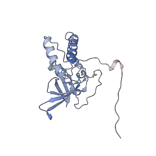 11397_6zsg_XQ_v1-0
Human mitochondrial ribosome in complex with mRNA, A-site tRNA, P-site tRNA and E-site tRNA