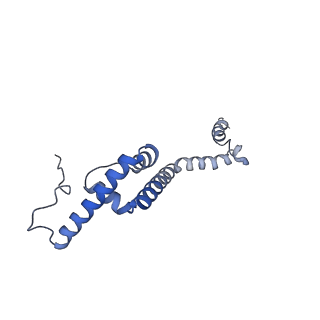 11397_6zsg_XR_v1-0
Human mitochondrial ribosome in complex with mRNA, A-site tRNA, P-site tRNA and E-site tRNA
