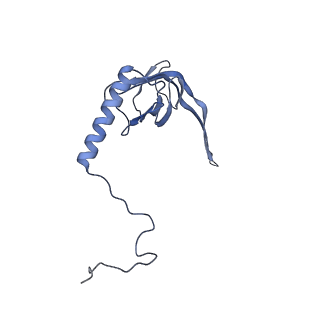 11397_6zsg_XS_v1-0
Human mitochondrial ribosome in complex with mRNA, A-site tRNA, P-site tRNA and E-site tRNA