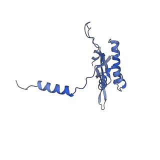 11397_6zsg_XT_v1-0
Human mitochondrial ribosome in complex with mRNA, A-site tRNA, P-site tRNA and E-site tRNA