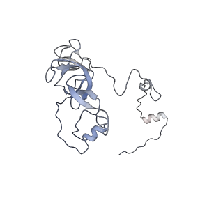 11397_6zsg_XV_v1-0
Human mitochondrial ribosome in complex with mRNA, A-site tRNA, P-site tRNA and E-site tRNA