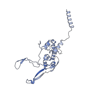11397_6zsg_XX_v1-0
Human mitochondrial ribosome in complex with mRNA, A-site tRNA, P-site tRNA and E-site tRNA