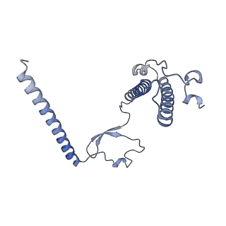 11397_6zsg_XY_v1-0
Human mitochondrial ribosome in complex with mRNA, A-site tRNA, P-site tRNA and E-site tRNA