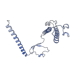11397_6zsg_XY_v2-0
Human mitochondrial ribosome in complex with mRNA, A-site tRNA, P-site tRNA and E-site tRNA
