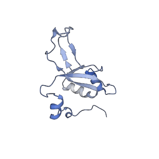 11397_6zsg_XZ_v1-0
Human mitochondrial ribosome in complex with mRNA, A-site tRNA, P-site tRNA and E-site tRNA