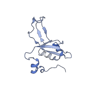11397_6zsg_XZ_v2-0
Human mitochondrial ribosome in complex with mRNA, A-site tRNA, P-site tRNA and E-site tRNA