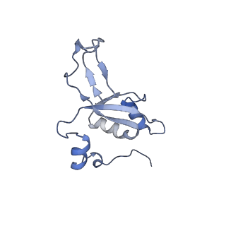 11397_6zsg_XZ_v3-0
Human mitochondrial ribosome in complex with mRNA, A-site tRNA, P-site tRNA and E-site tRNA