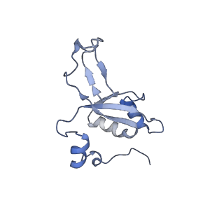 11397_6zsg_XZ_v4-0
Human mitochondrial ribosome in complex with mRNA, A-site tRNA, P-site tRNA and E-site tRNA