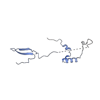 11397_6zsg_a_v1-0
Human mitochondrial ribosome in complex with mRNA, A-site tRNA, P-site tRNA and E-site tRNA