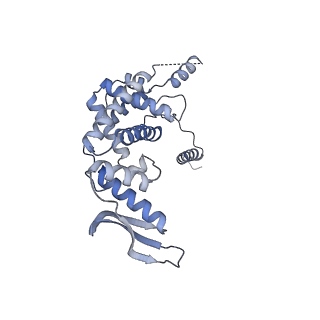 11397_6zsg_c_v1-0
Human mitochondrial ribosome in complex with mRNA, A-site tRNA, P-site tRNA and E-site tRNA