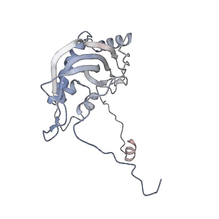 11397_6zsg_d_v1-0
Human mitochondrial ribosome in complex with mRNA, A-site tRNA, P-site tRNA and E-site tRNA