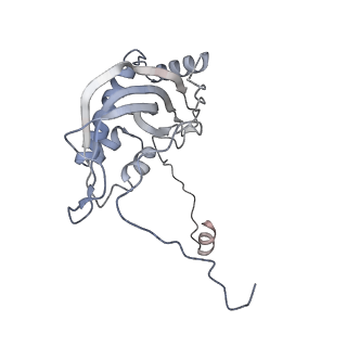 11397_6zsg_d_v2-0
Human mitochondrial ribosome in complex with mRNA, A-site tRNA, P-site tRNA and E-site tRNA