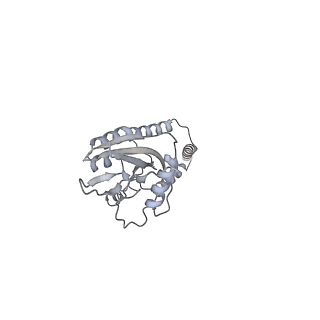 11397_6zsg_e_v1-0
Human mitochondrial ribosome in complex with mRNA, A-site tRNA, P-site tRNA and E-site tRNA