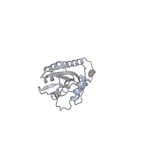 11397_6zsg_e_v3-0
Human mitochondrial ribosome in complex with mRNA, A-site tRNA, P-site tRNA and E-site tRNA