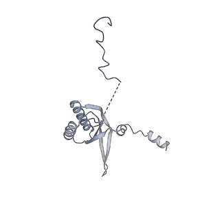 11397_6zsg_f_v1-0
Human mitochondrial ribosome in complex with mRNA, A-site tRNA, P-site tRNA and E-site tRNA
