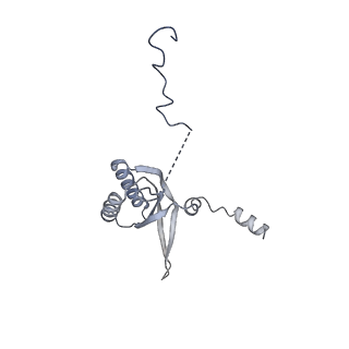 11397_6zsg_f_v2-0
Human mitochondrial ribosome in complex with mRNA, A-site tRNA, P-site tRNA and E-site tRNA