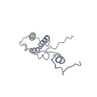 11397_6zsg_h_v1-0
Human mitochondrial ribosome in complex with mRNA, A-site tRNA, P-site tRNA and E-site tRNA