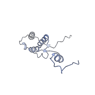 11397_6zsg_h_v4-0
Human mitochondrial ribosome in complex with mRNA, A-site tRNA, P-site tRNA and E-site tRNA