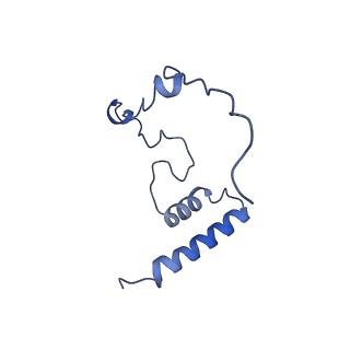 11397_6zsg_i_v1-0
Human mitochondrial ribosome in complex with mRNA, A-site tRNA, P-site tRNA and E-site tRNA