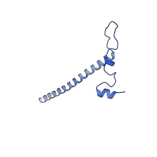 11397_6zsg_j_v1-0
Human mitochondrial ribosome in complex with mRNA, A-site tRNA, P-site tRNA and E-site tRNA